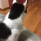 ういろ
