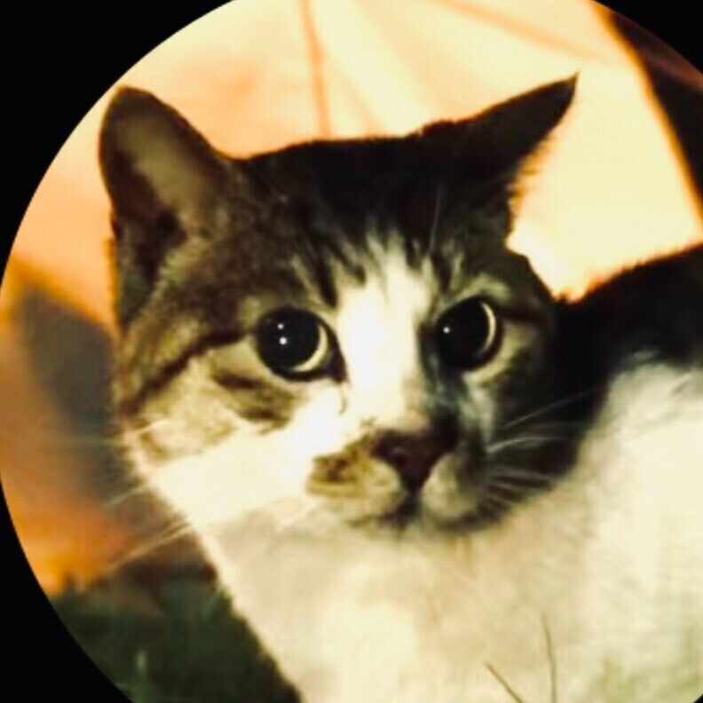 ラップ的観点からブラストワンピースを深く考察してみた ざびえる Note