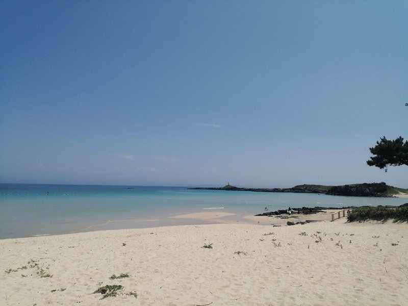 夏はいつも泳ぎに行く地元の砂浜。今年も帰省できずに残念とのこと…。