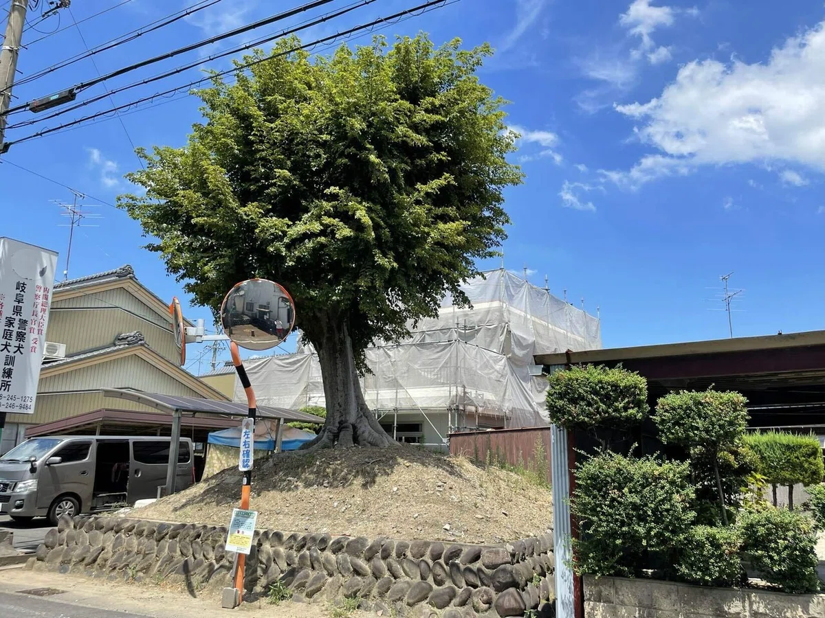 画像96