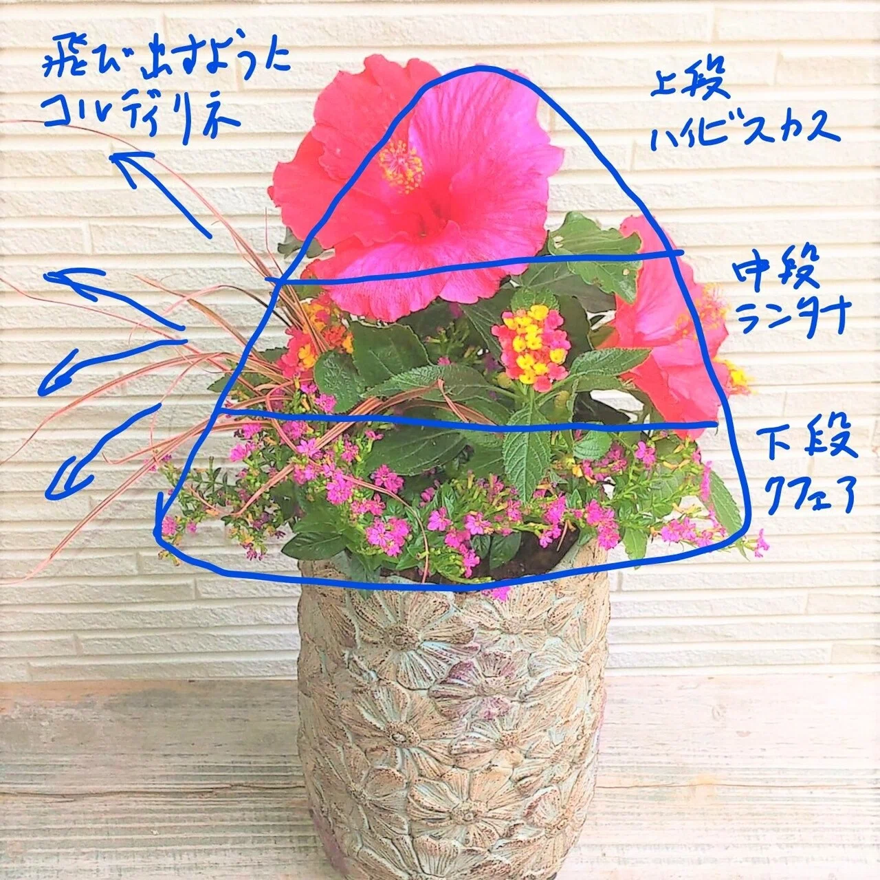 南国気分全開!!初心者向けハイビスカスの寄せ植えの作り方|苺 南国気分全開!!初心者向けハイビスカスの寄せ植えの作り方|苺