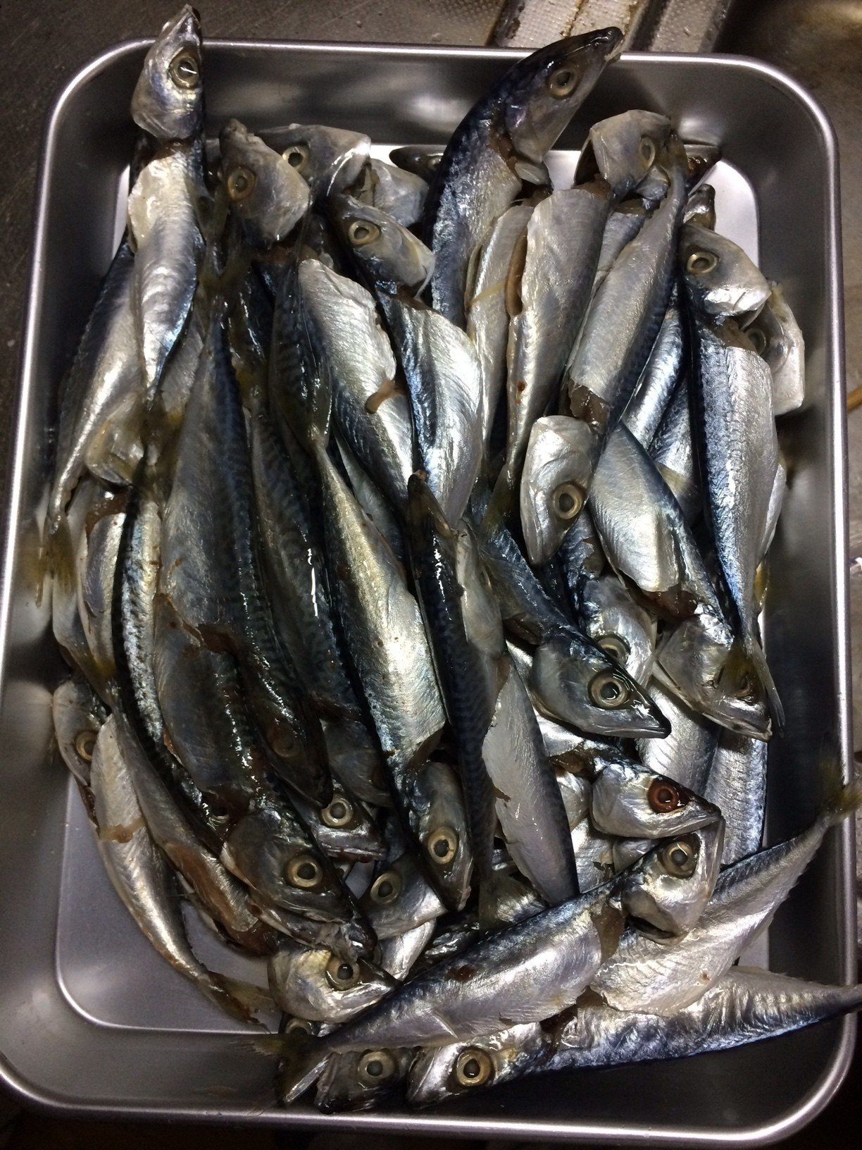 釣り手開き小鯖の南蛮漬け 竜田揚げ 遠藤鉄水のnote Note 釣り手開き小鯖の南蛮漬け 竜田揚げ 遠藤鉄水のnote Note