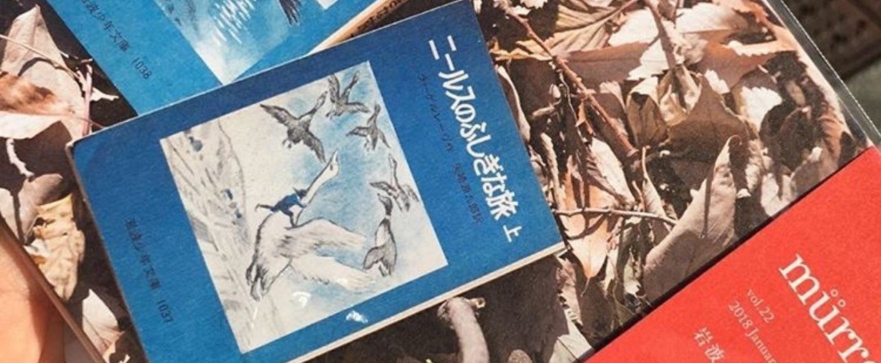 岩波少年文庫＆偕成社文庫22冊セット