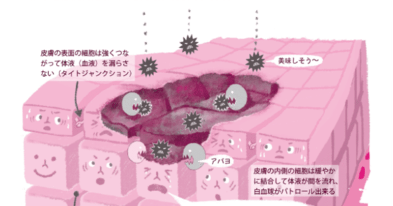 免疫学という袋小路