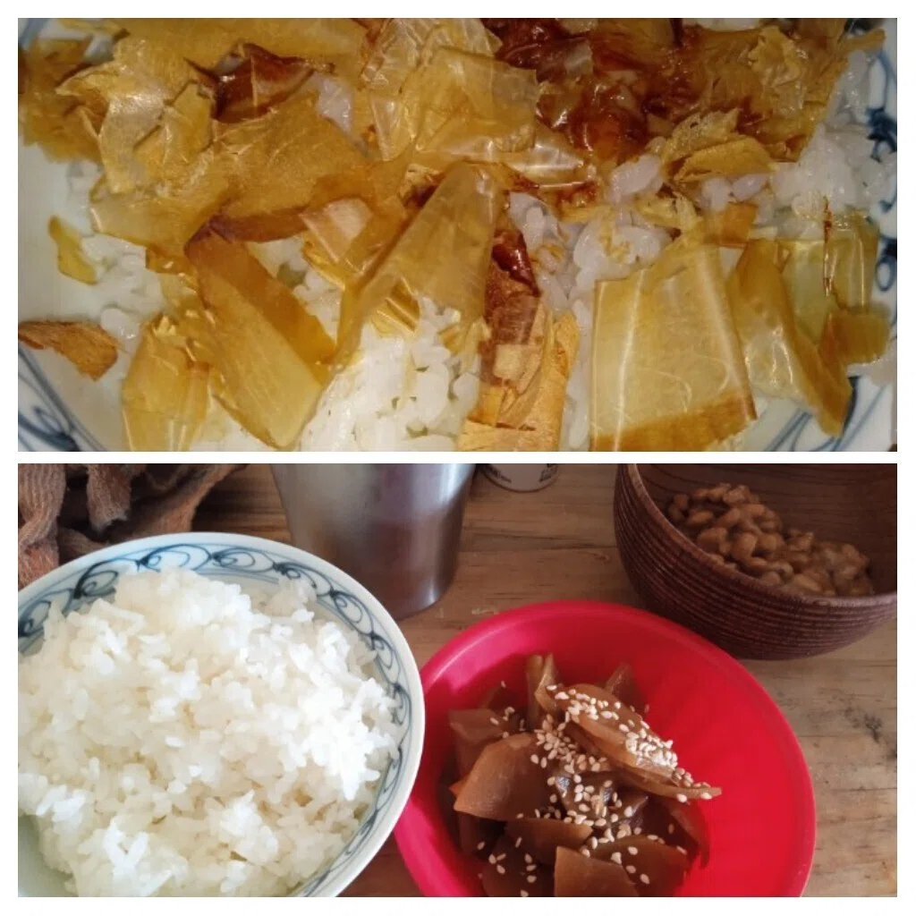 本日の極貧食堂 コシヒカリが多分あと１回 ハヤトウリと納豆 ご飯の邪魔にならないもの 三杯目は猫まんま これが一番美味かった クーパパ 極貧メキシカン犬 バカ爺 Note