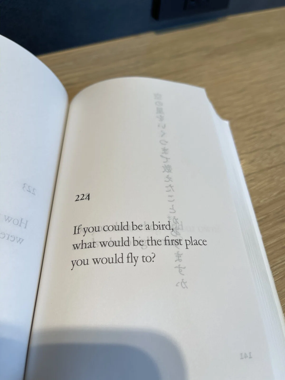 画像13