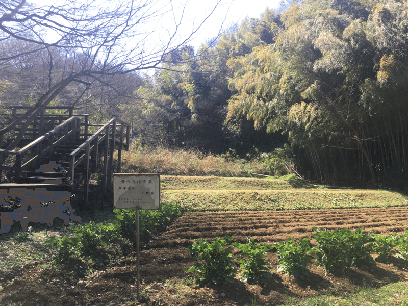 生田緑地 ホタルの国 訪問記 まえがみ Note