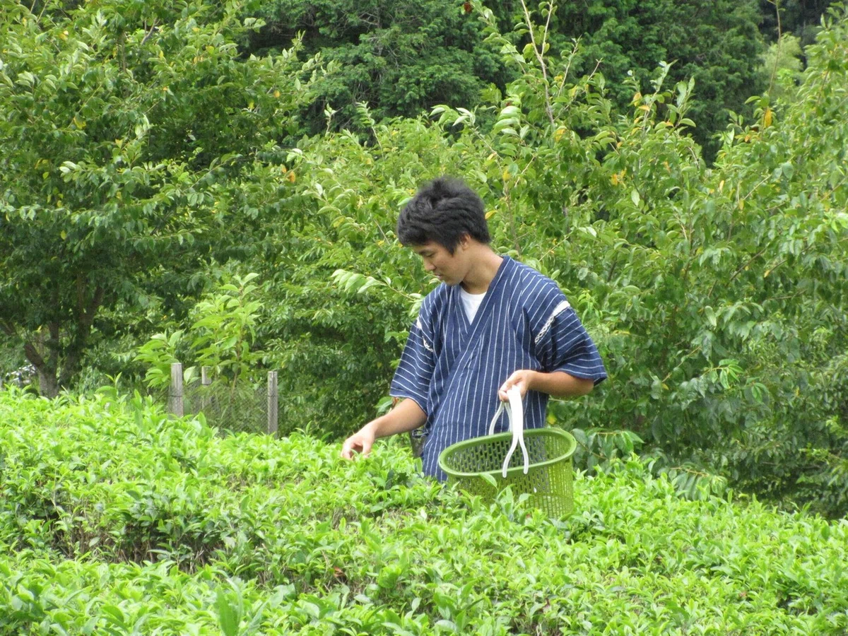 画像5