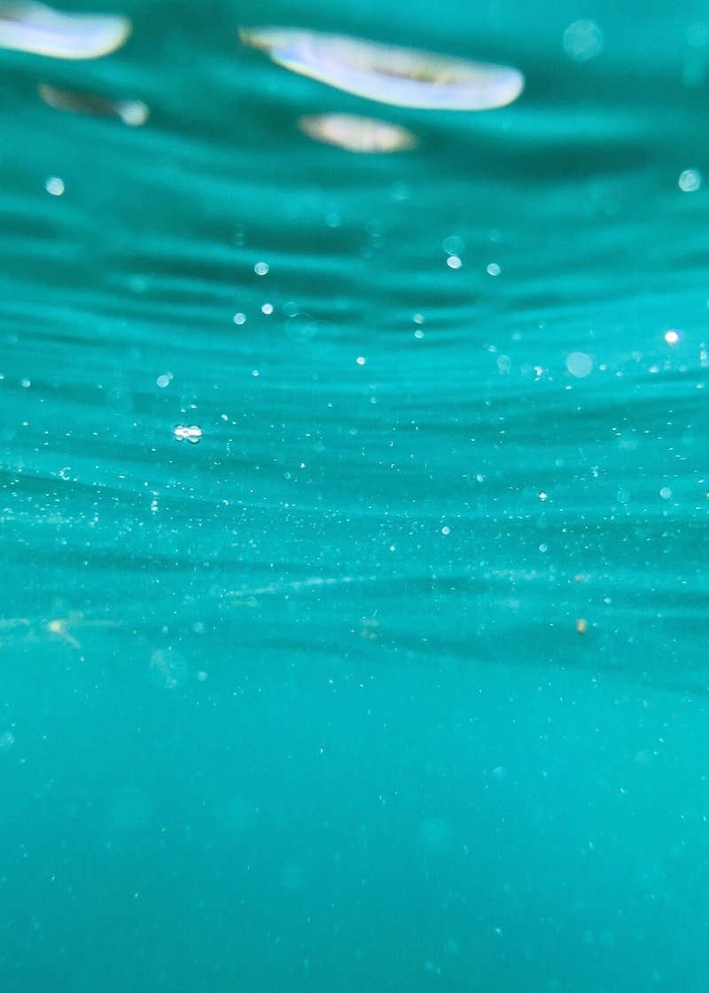 Iphoneで海の中の写真を撮ってみた 瀬戸照済 Note Iphoneで海の中の写真を撮ってみた 瀬戸照済 Note