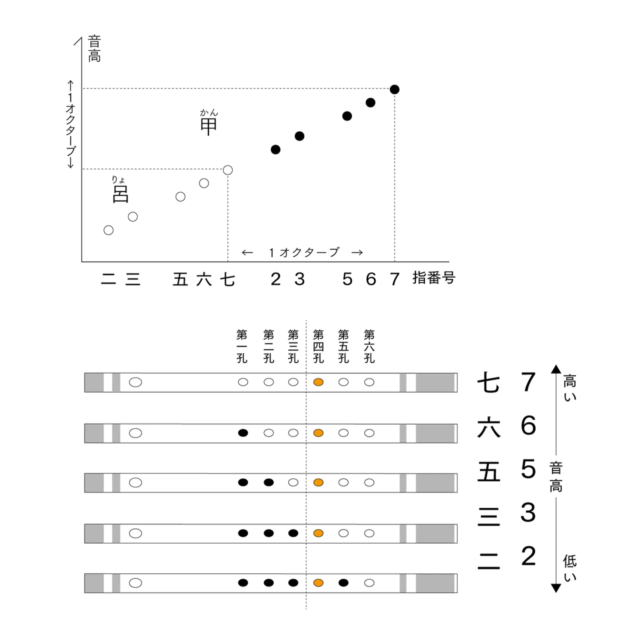 指の押さえ方（運指番号）〈004〉｜森田玲（Morita Akira）