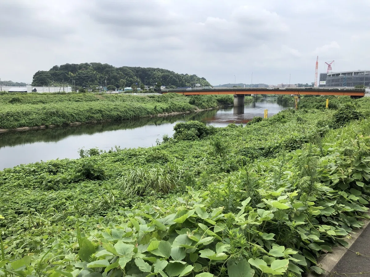 画像13