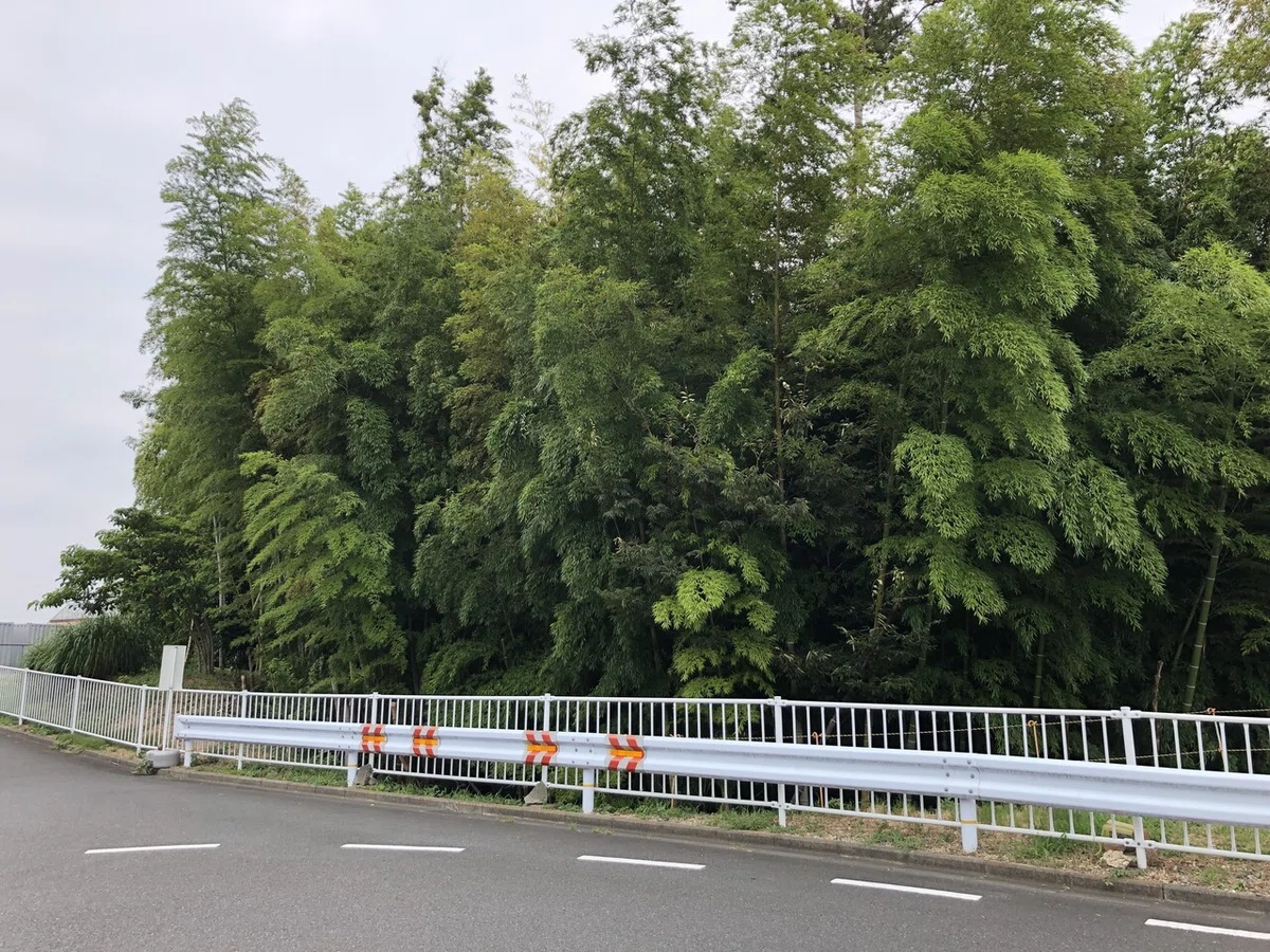 画像14