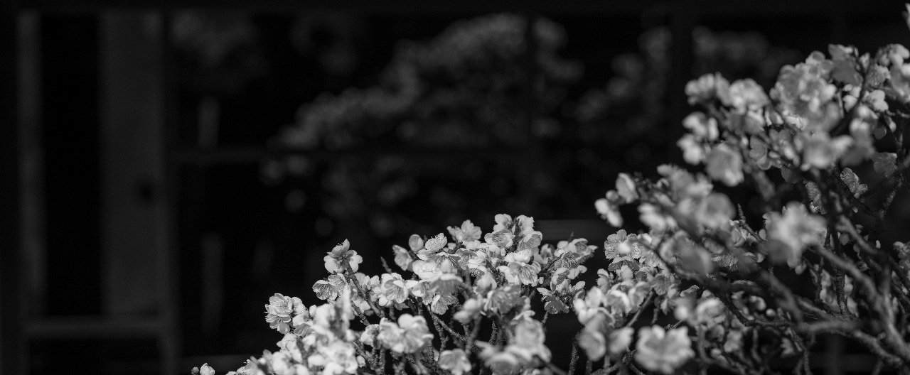 Life goes on Bra｜別所隆弘｜note