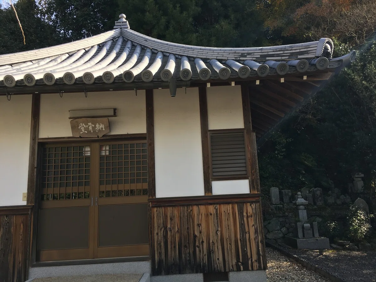 画像8