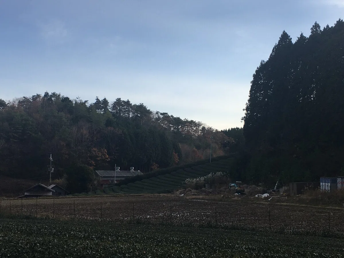 画像3