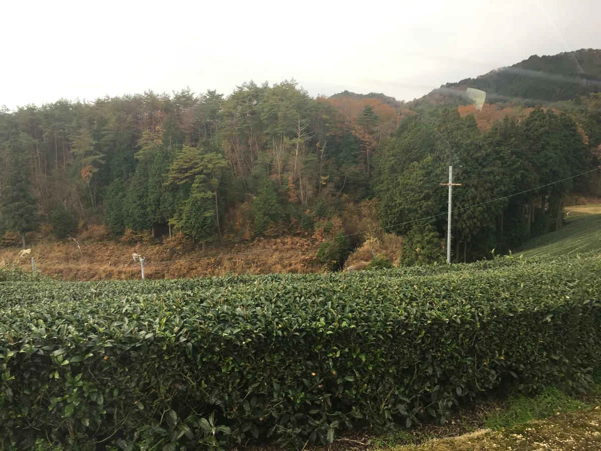 画像11