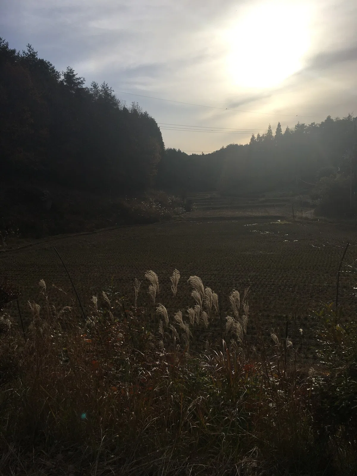 画像15