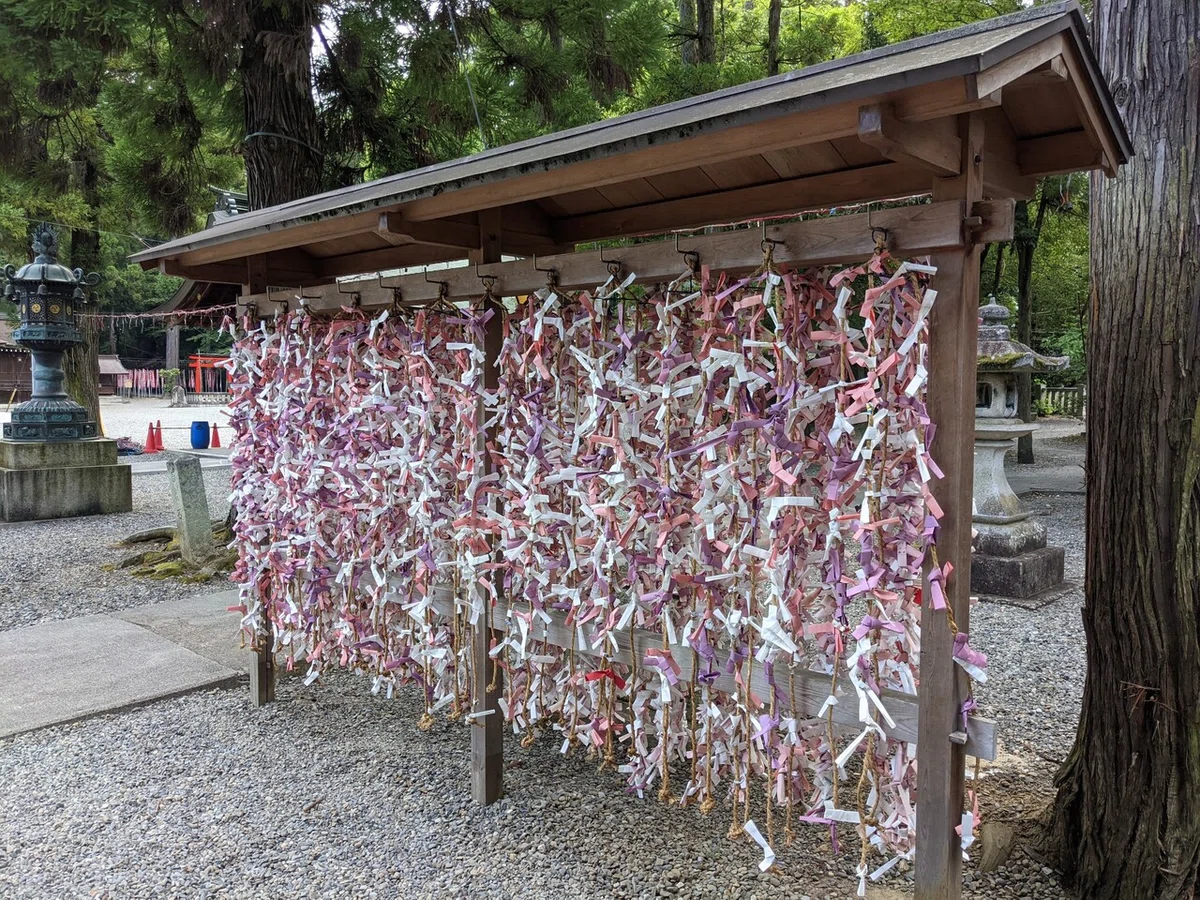 画像18