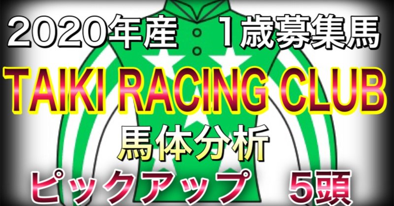 大樹レーシングクラブ　2020年産　1歳、募集馬　馬体分析 ピックアップ　5頭