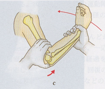 画像15