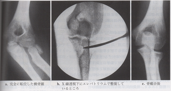 画像27