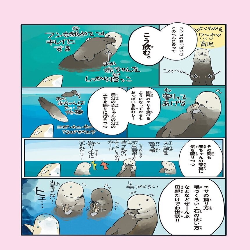 シャチ大好き 愛らしくてユニークな海の動物を描き続ける漫画家 まつおるかさんインタビュー 海の事故ゼロの未来をつくるノート