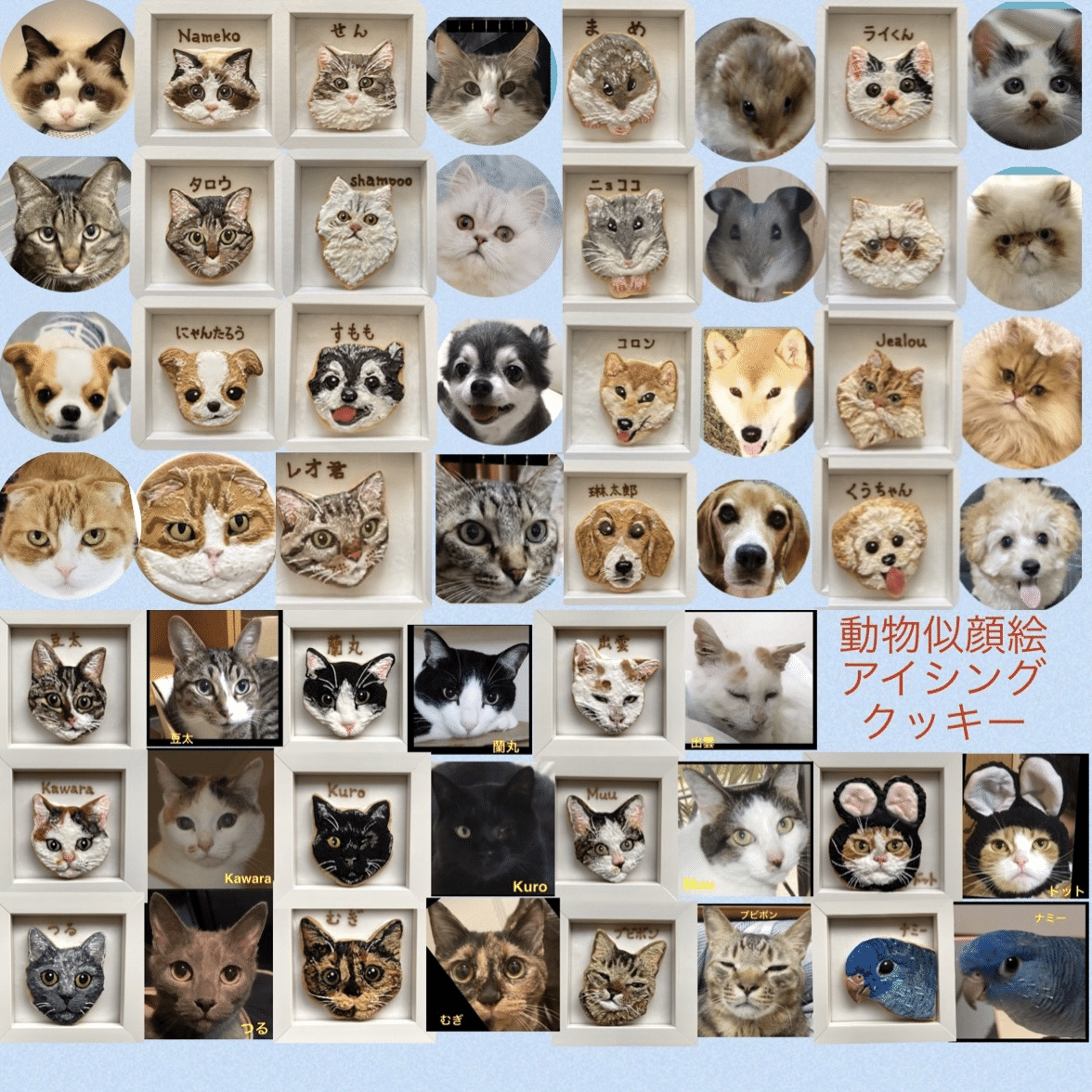 動物似顔絵アイシングクッキー 鑑賞用 紹介動画 追加オーダー募集中 スイーツ作家ゆかりん Note