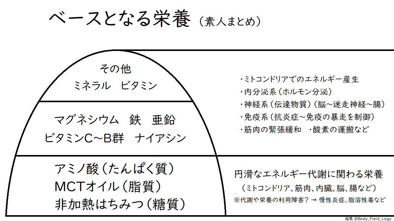 ベースとなる栄養 素人まとめ ちぐはぐな頭と心と体の研究 Note