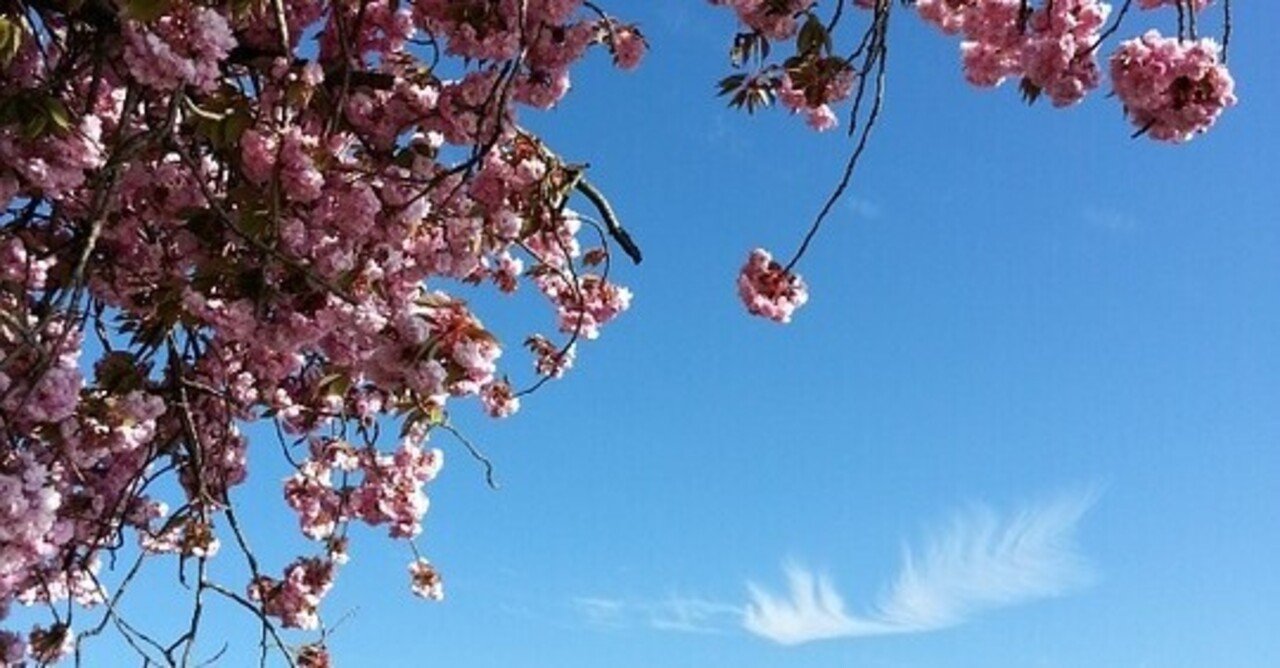 来海えりか の新着タグ記事一覧 Note つくる つながる とどける 来海えりか の新着タグ記事一覧 Note つくる つながる とどける