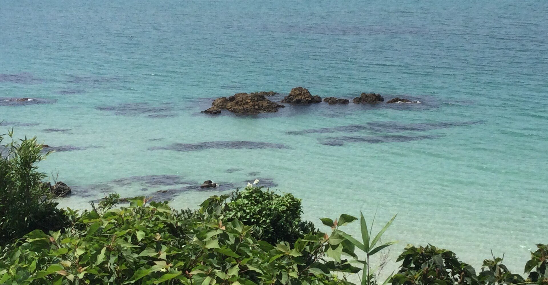 飯田龍太自選自解句集｜新板さん