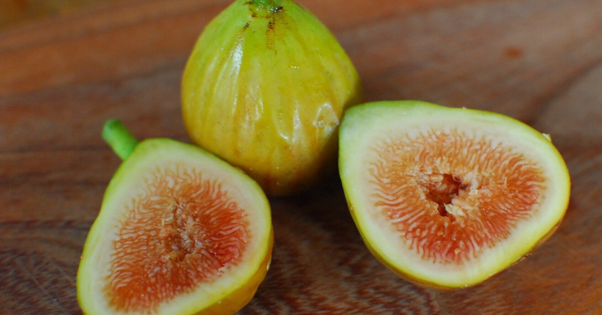 Fig Varieties【Scahr Amber】シャー・アンバー｜世界のいちじく育て