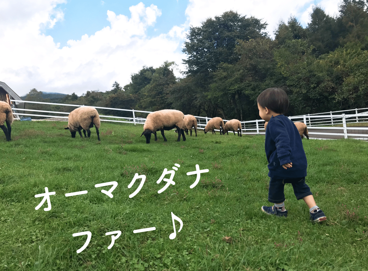 英語が嫌いな４歳と２歳がハマった 英語コンテンツ 無料いっぱい 小森谷 友美 コピーライター Note