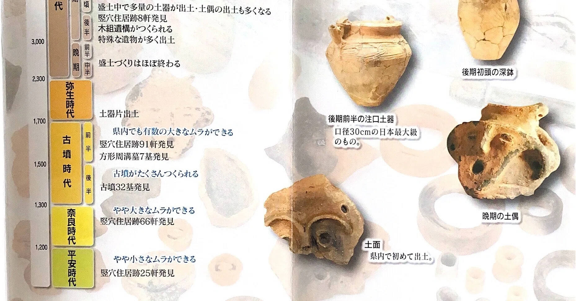 北関東の縄文文化が見えてくる？土器や土偶のバリエーションが豊富な