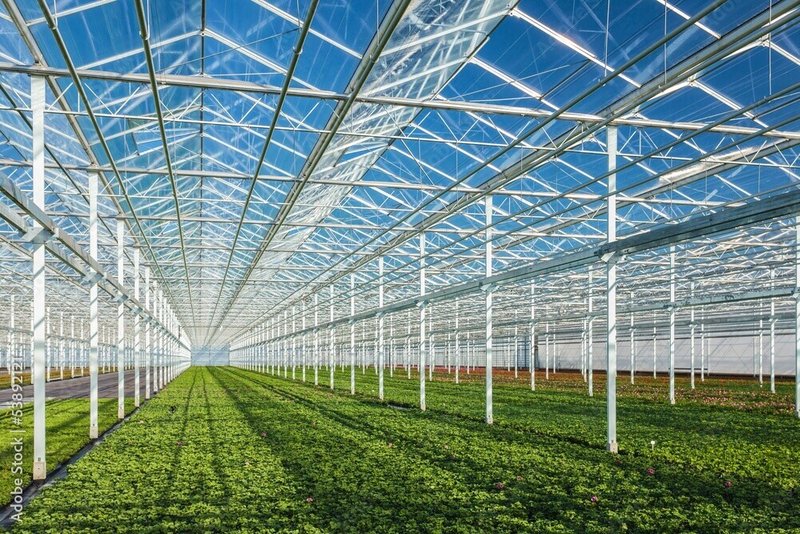 [Adobe53892121]太陽光型植物工場