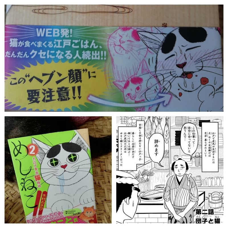 江戸時代 猫の漫画も沼が深い 猫絵師の生まれ変わり 猫又 Note 江戸時代 猫の漫画も沼が深い 猫絵師の生まれ変わり 猫又 Note