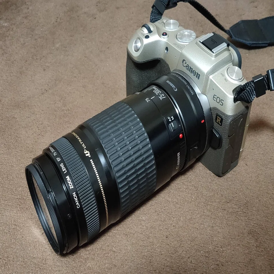 フード付き 望遠レンズキャノン CANON EF 厳つ 75-300㎜F4-5.6 II 