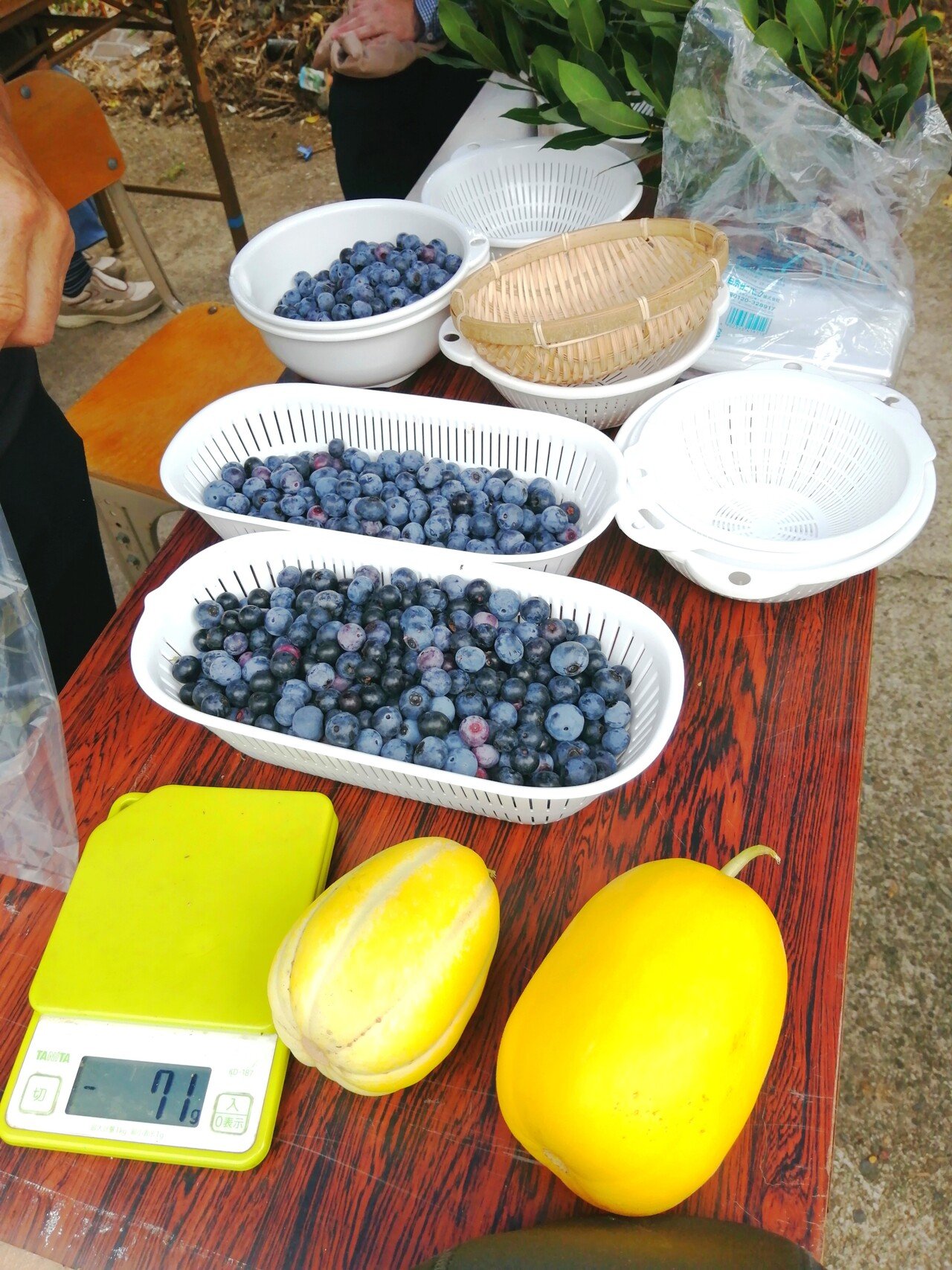 3歳以上の年齢の若返り効果が ブルーベリー摘体験 福井県勝山市地域おこし協力隊 ナカシマ Note 3歳以上の年齢の若返り効果が ブルーベリー摘体験 福井県勝山市地域おこし協力隊 ナカシマ Note