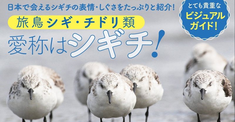 試し読み にっぽんのシギ チドリ シギチの様々な表情 しぐさをたっぷりと紹介 シギチの生態的特性 カンゼン Note 試し読み にっぽんのシギ チドリ シギチの様々な表情 しぐさをたっぷりと紹介 シギチの生態的特性 カンゼン Note