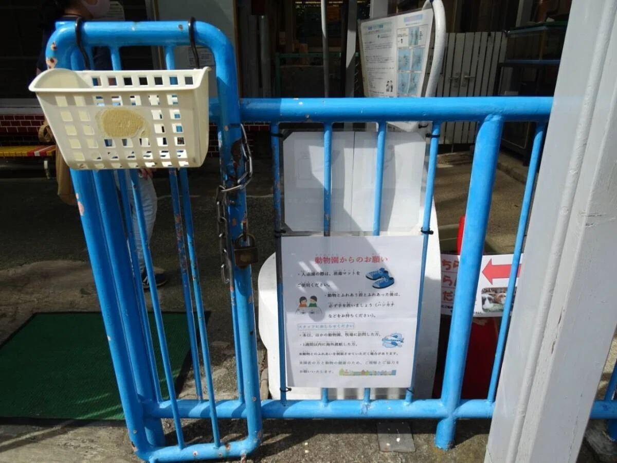 画像7
