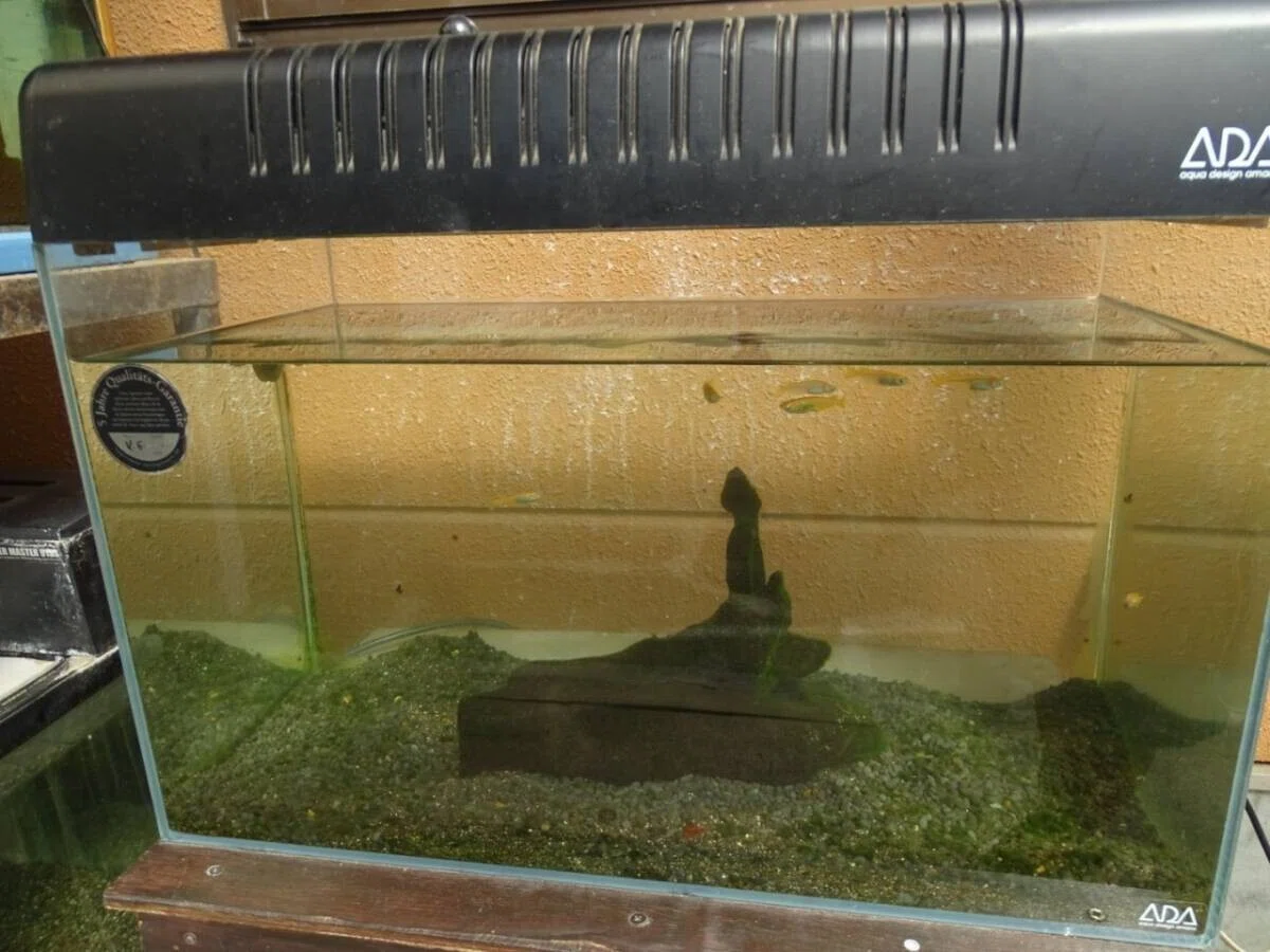 画像14