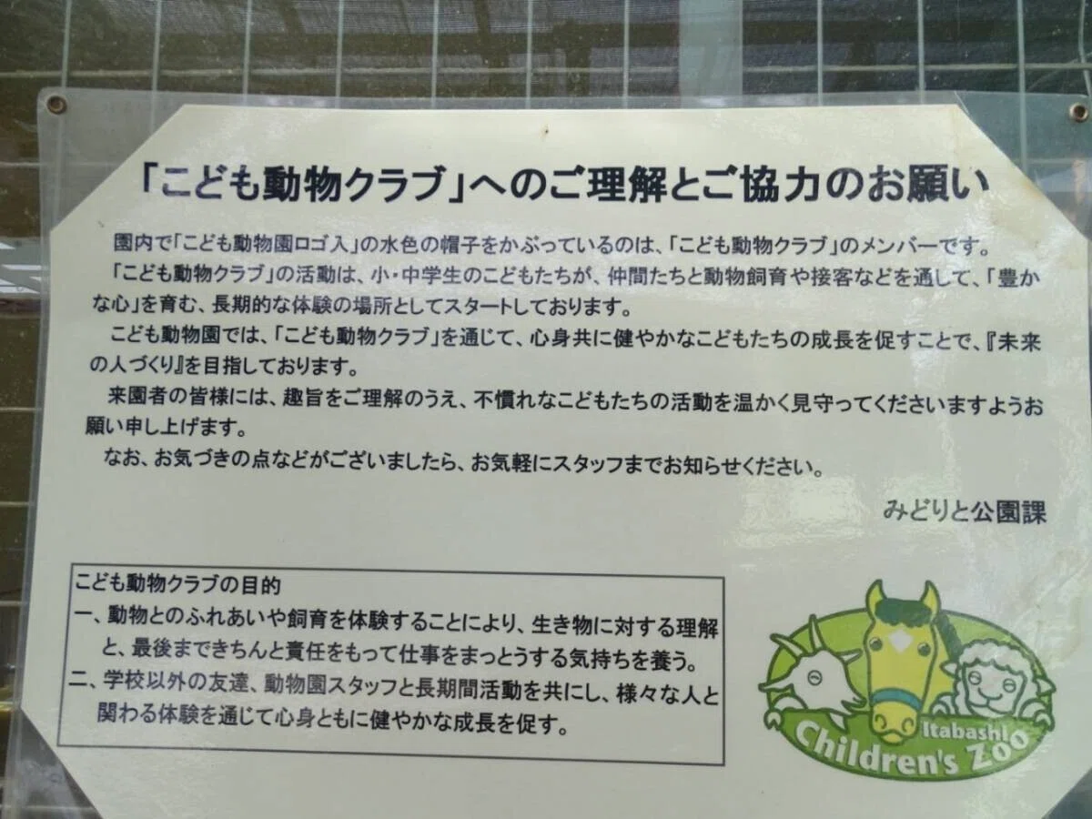画像11