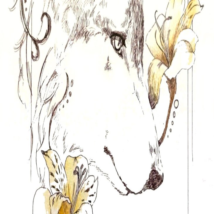 オオカミのイラスト ふゆはる Fuyuharu イラストレーター クラファン目標達成 Note