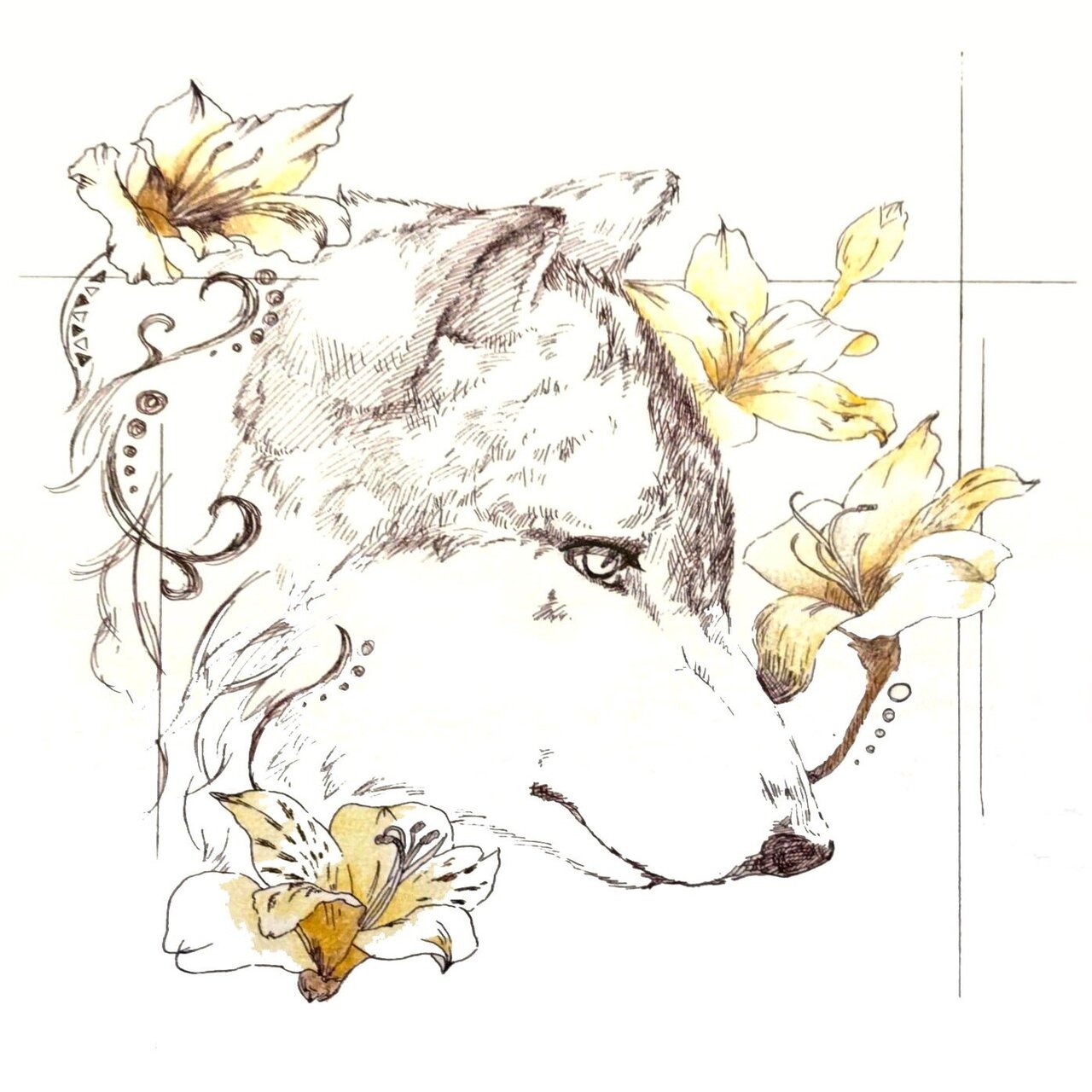 オオカミのイラスト ふゆはる Fuyuharu イラストレーター クラファン目標達成 Note