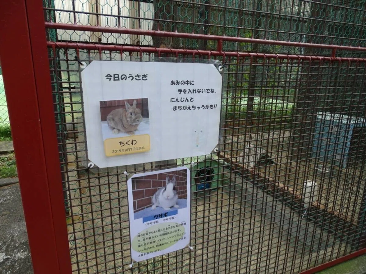 画像18
