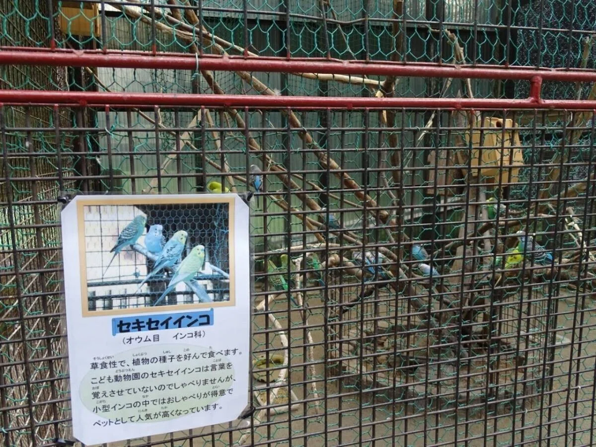 画像19