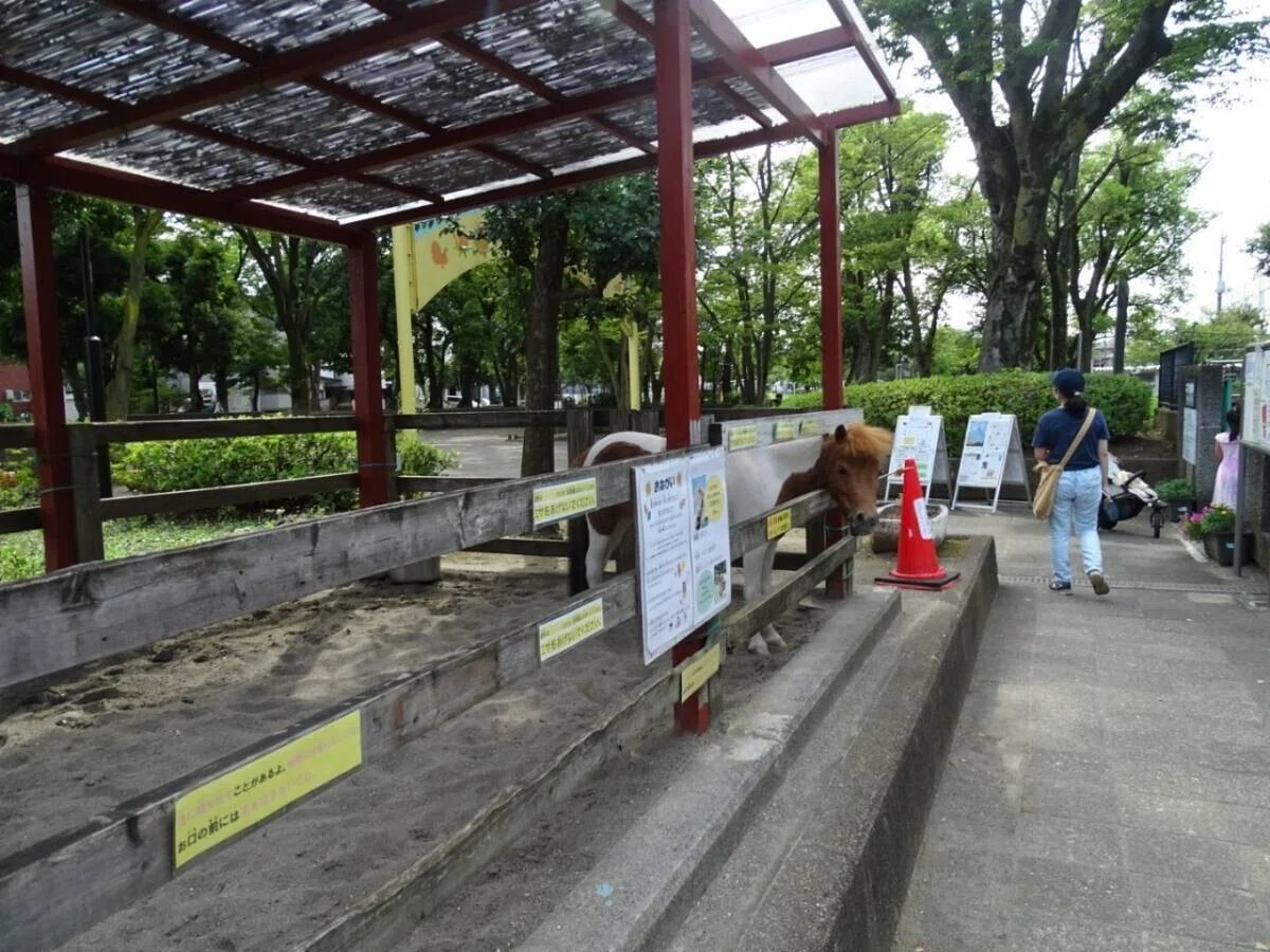 画像17