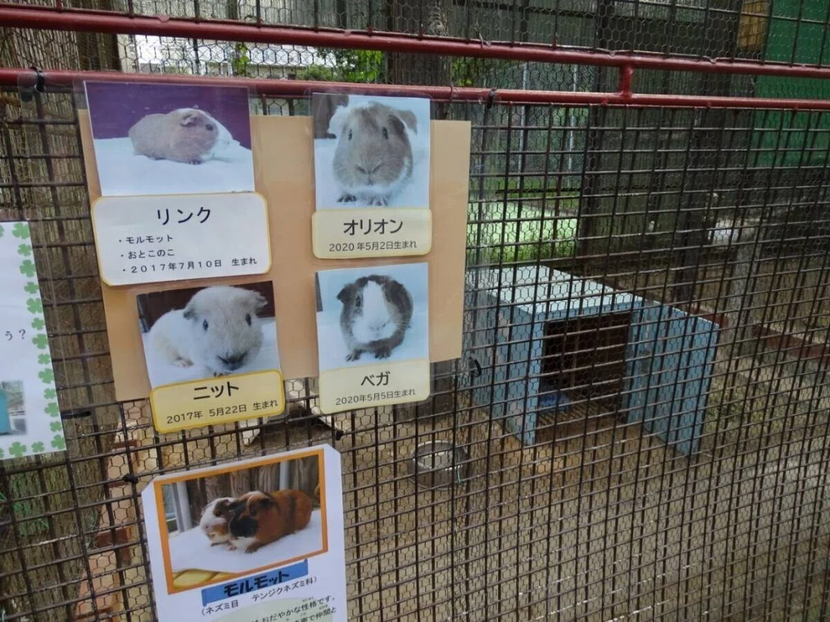 画像25