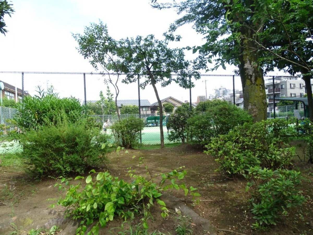 画像31