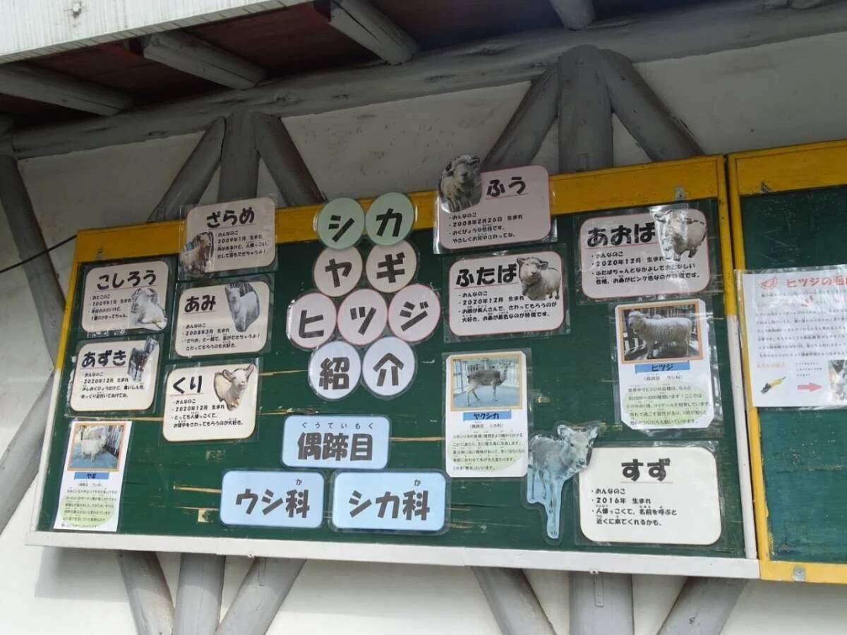 画像40