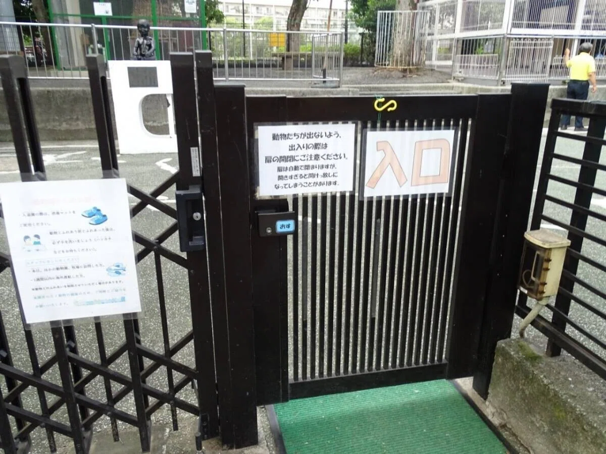画像39